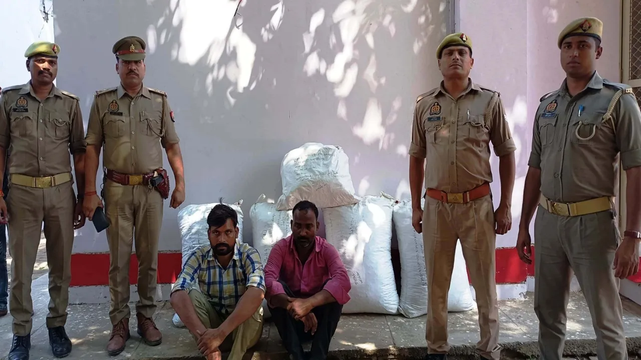 मीरजापुर: नारियल के आड़ में छिपाकर ले जा रहे थे 45 लाख का गांजा, एसटीएफ ने पकड़ा, इन जिलों में देनी थी सप्लाई