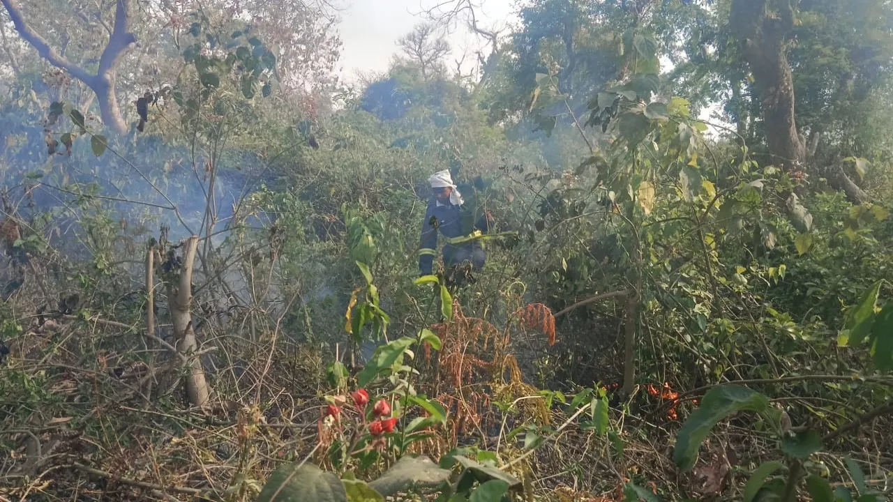 श्रावस्ती के जंगलों में लगी आग, बुझाने में जुटे फायर फाइटर  