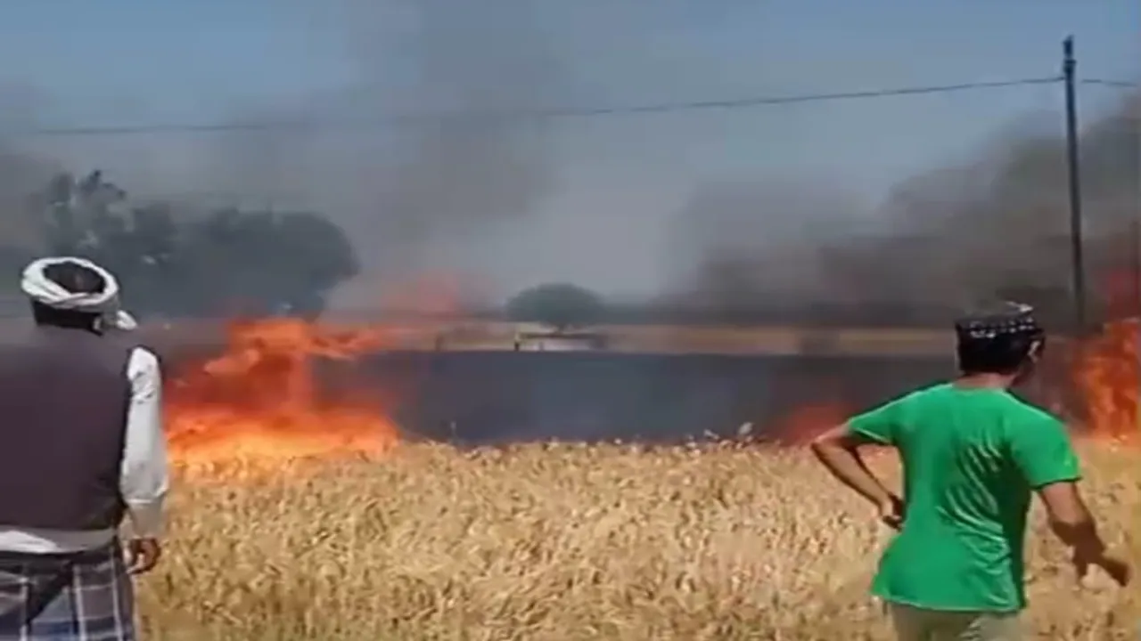 Video: बहराइच में चंद सेकेंड में भीषण आग से राख हुई गेहूं की फसल  