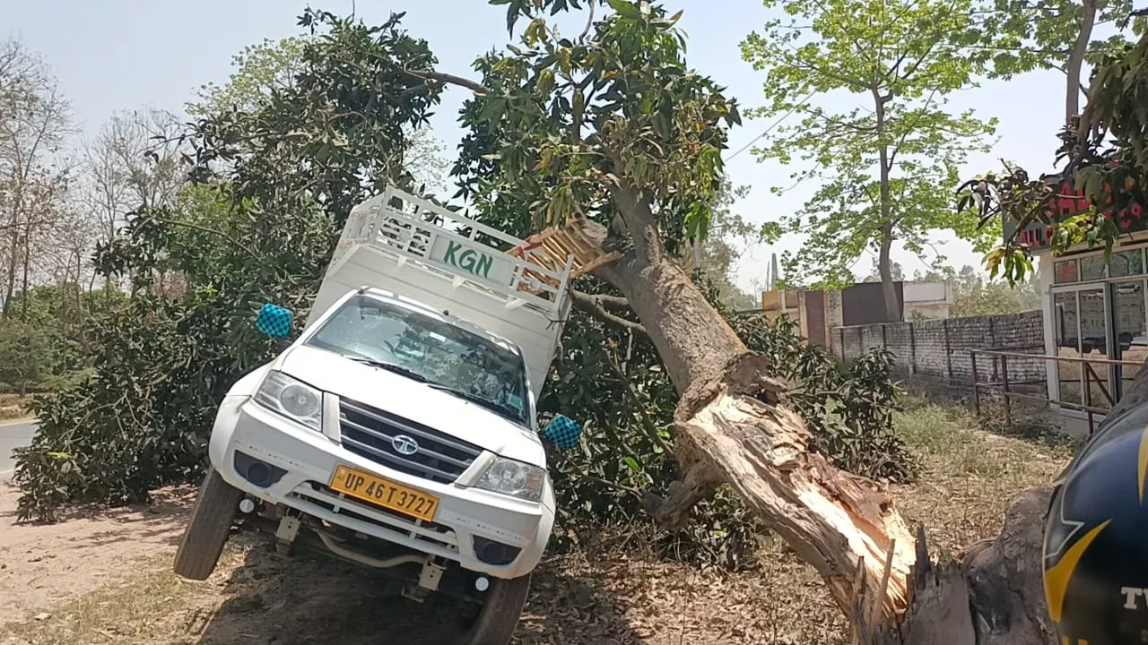 बहराइच: तेज हवाओं के बीच पिकअप पर गिरा पेड़, बाल-बाल बचा चालक