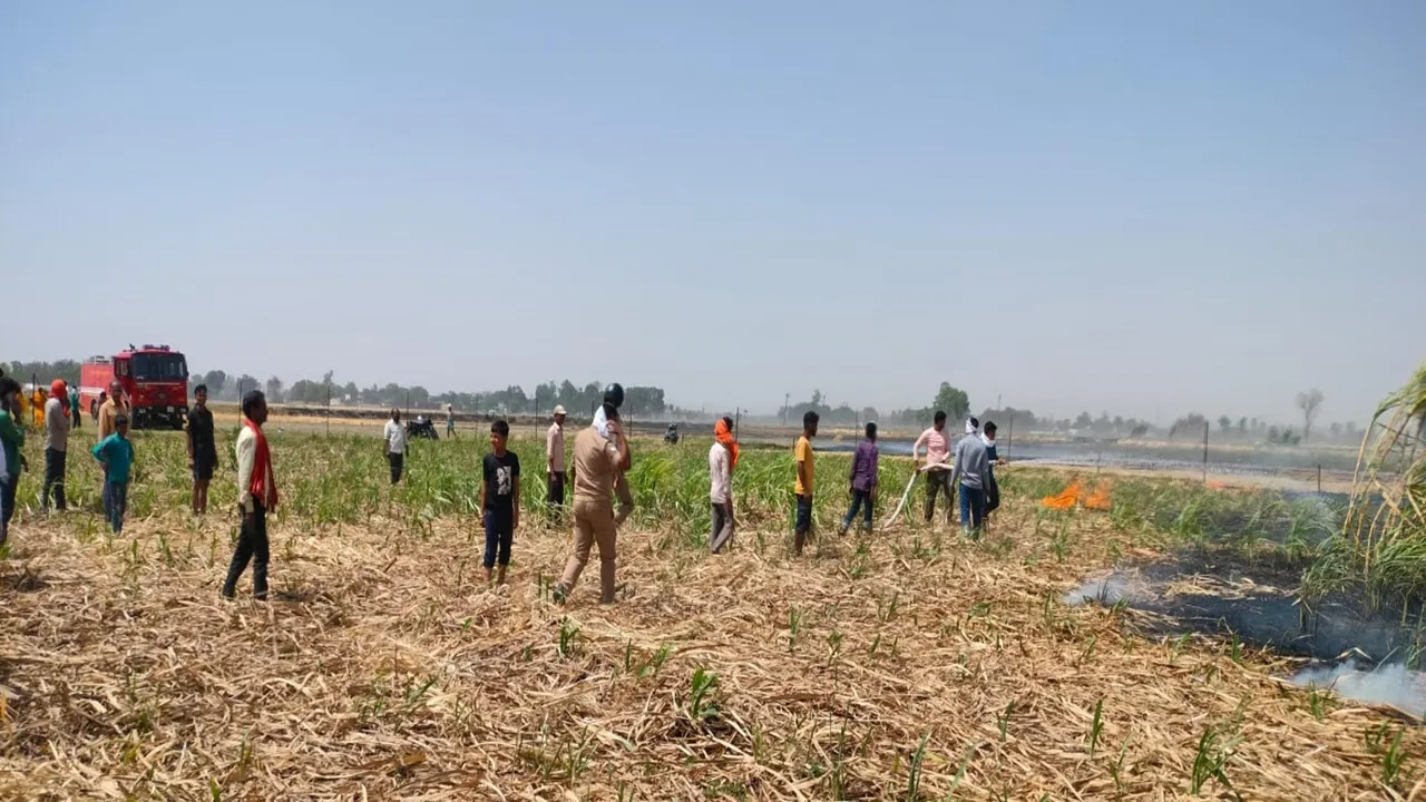 गोंडा में अग्नितांडव: जेवर, नकदी और घर गृहस्थी सहित 20 बीघा गेहूं की खड़ी फसल स्वाहा