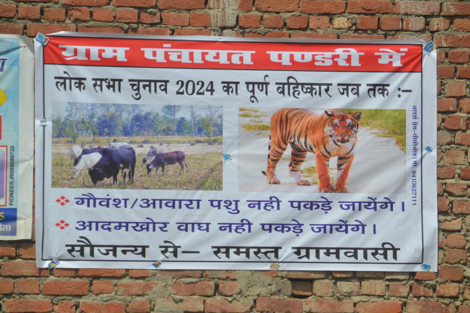पीलीभीत: मतदान बाहिष्कार का मामला...ग्रामीणों को मना नहीं पाए, पुलिस ने जबरन पोस्टर उतरवाए, जानें मामला 