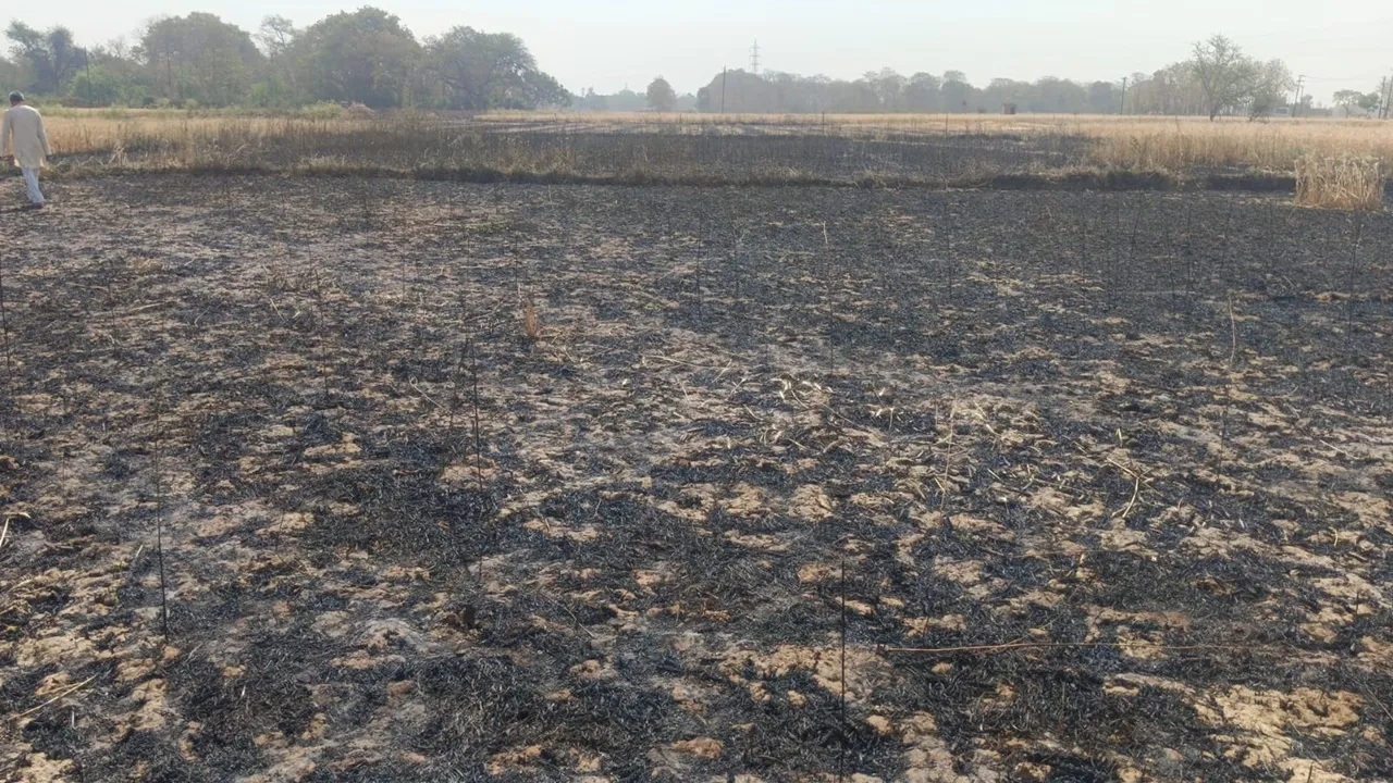 सुलतानपुर में आग का तांडव: कादीपुर में 10 तो दोस्तपुर में पांच बीघा गेहूं की फसल जलकर राख