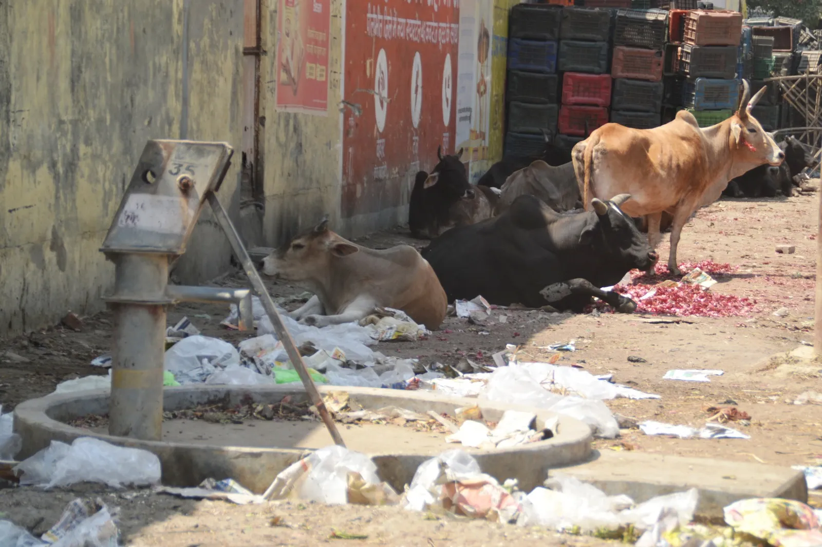 3f1f7f65-5a37-44e6-a518-acef7ad4c70f