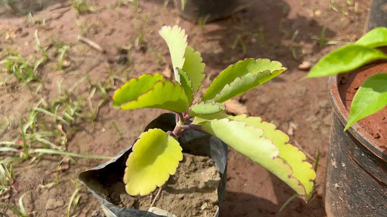 5964a349-0570-4390-b371-3fdf8a2fe00d