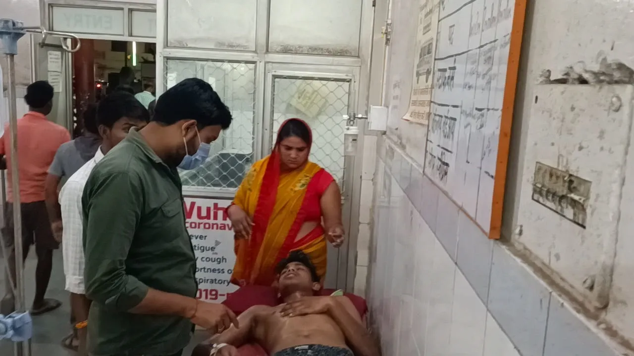 बहराइच: युवक पर मधुमक्खियों ने किया हमला, दोस्त ने जान पर खेलकर बचाई साथी की जिंदगी