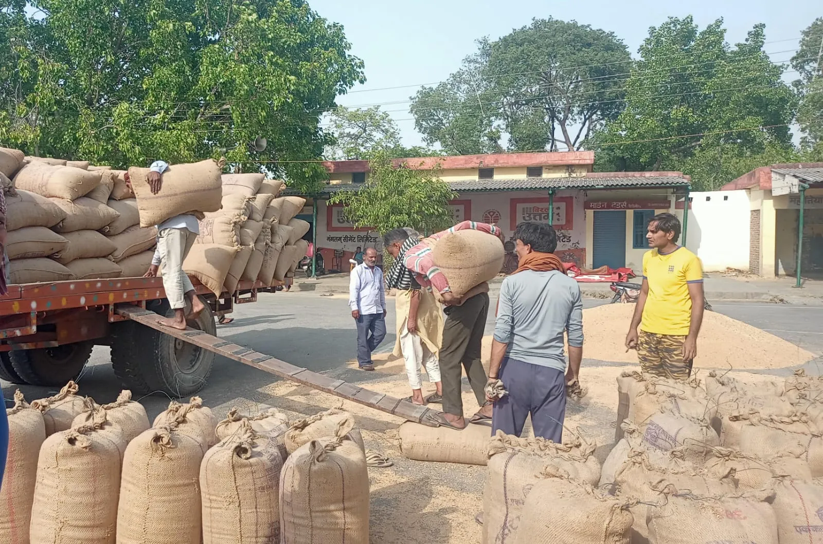 अब बाहर नहीं भेजा जा सकेगा पीलीभीत का गेहूं, डीएम ने क्यों लगाई रोक? जानिए पूरी खबर