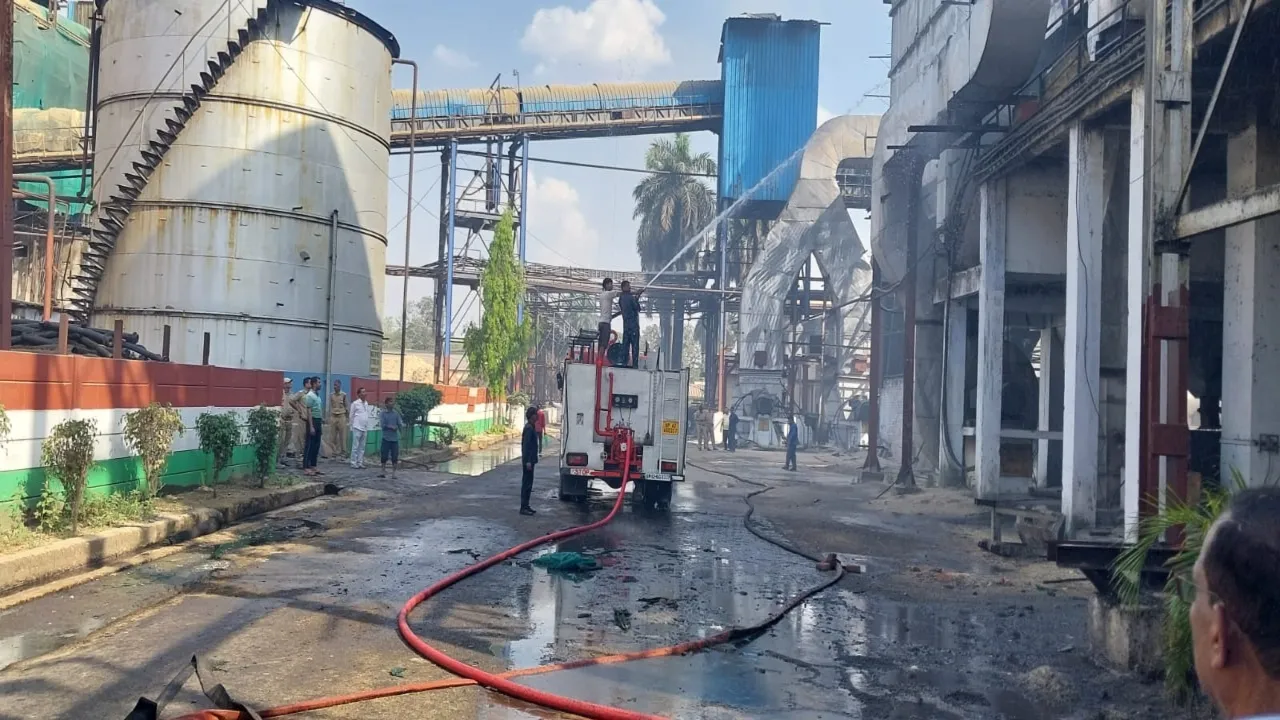 8 - 2024-04-11T174806.011