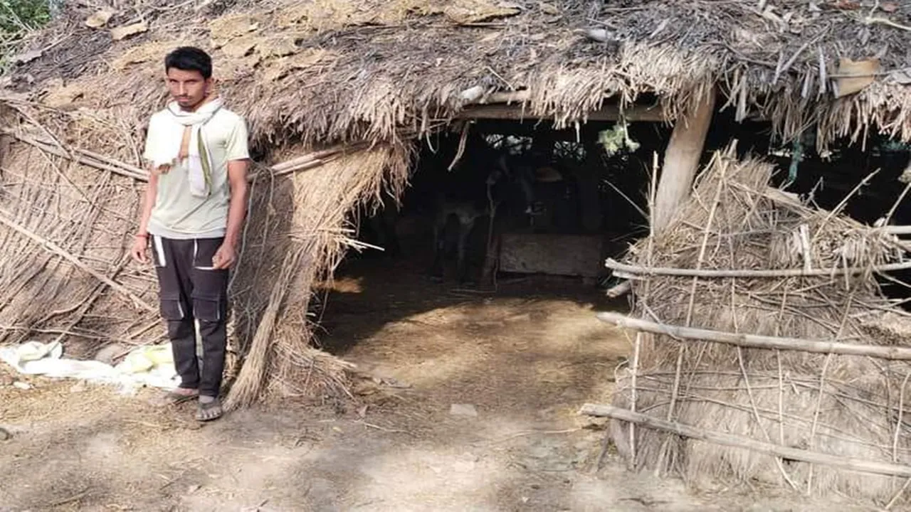 बलरामपुर: तेंदुए ने दो मवेशियों को बनाया निवाला, ग्रामीणों में दहशत