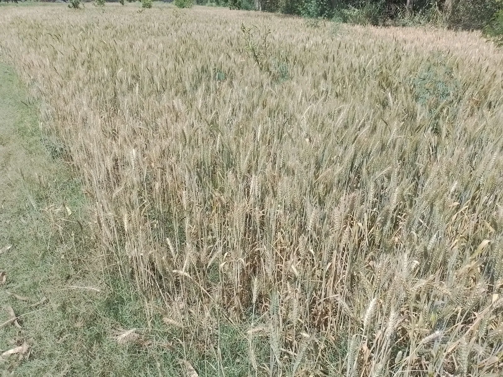 a6c09627-7276-4bd8-8300-7c07b46cedad