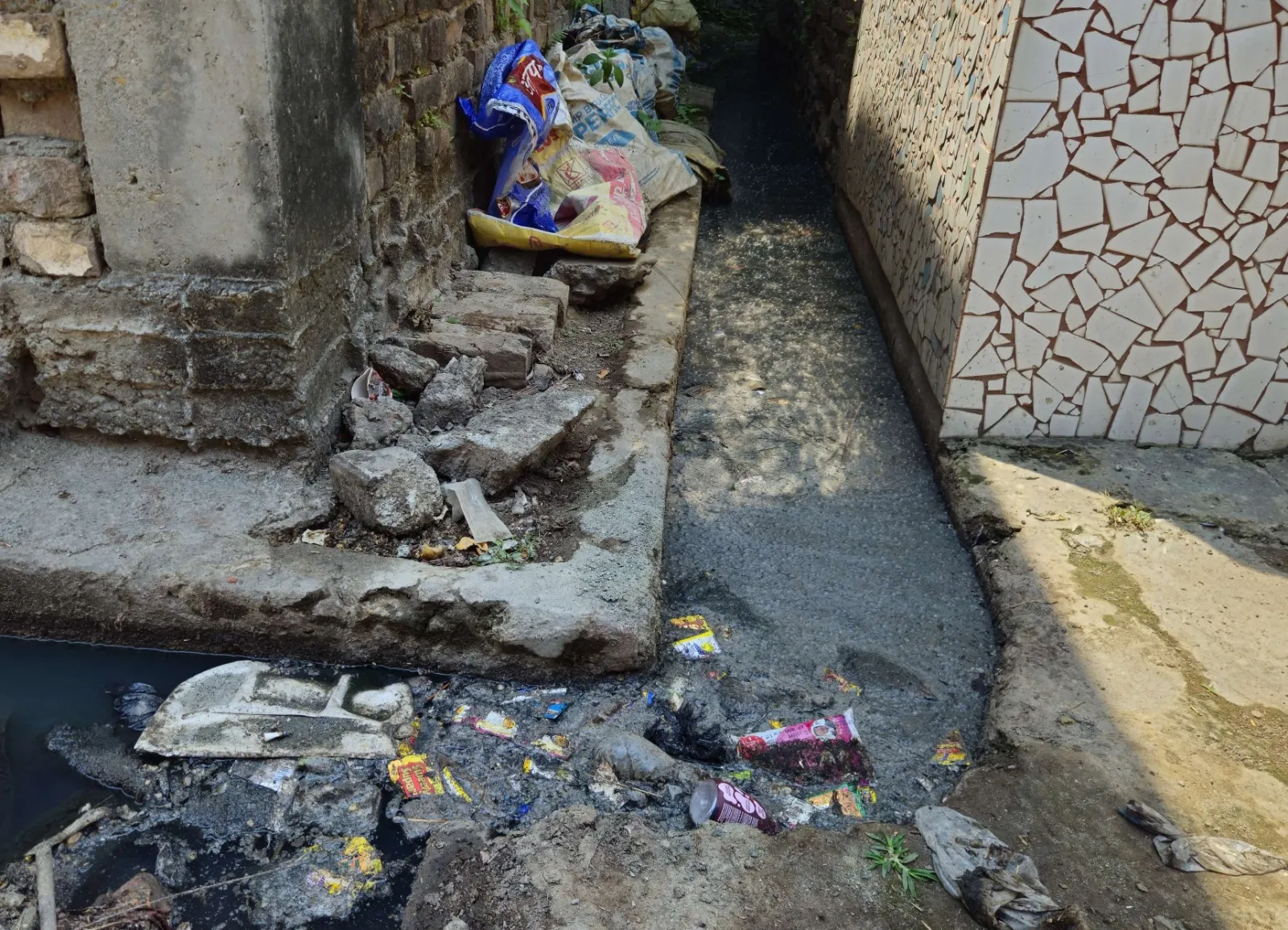 पीलीभीत: वार्ड नंबर 16 का हाल...घनी आबादी में नर्क जैसे हालात, नालियां चोक...मंदिरों के बाहर जलभराव, नहीं हो रही सुनवाई