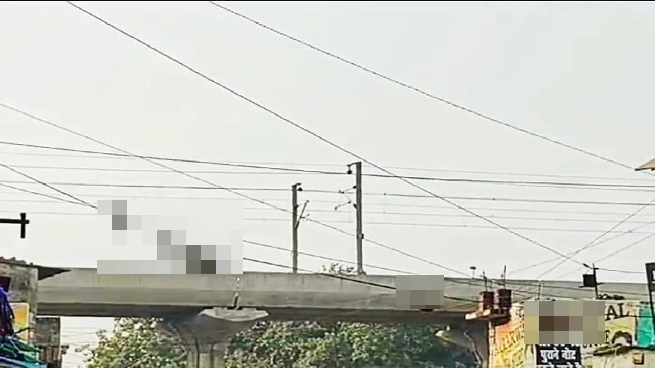 लखनऊ: नटखेड़ा रोड पर बंदरों का आतंक, दुकानदार परेशान, दहशत में ग्राहक