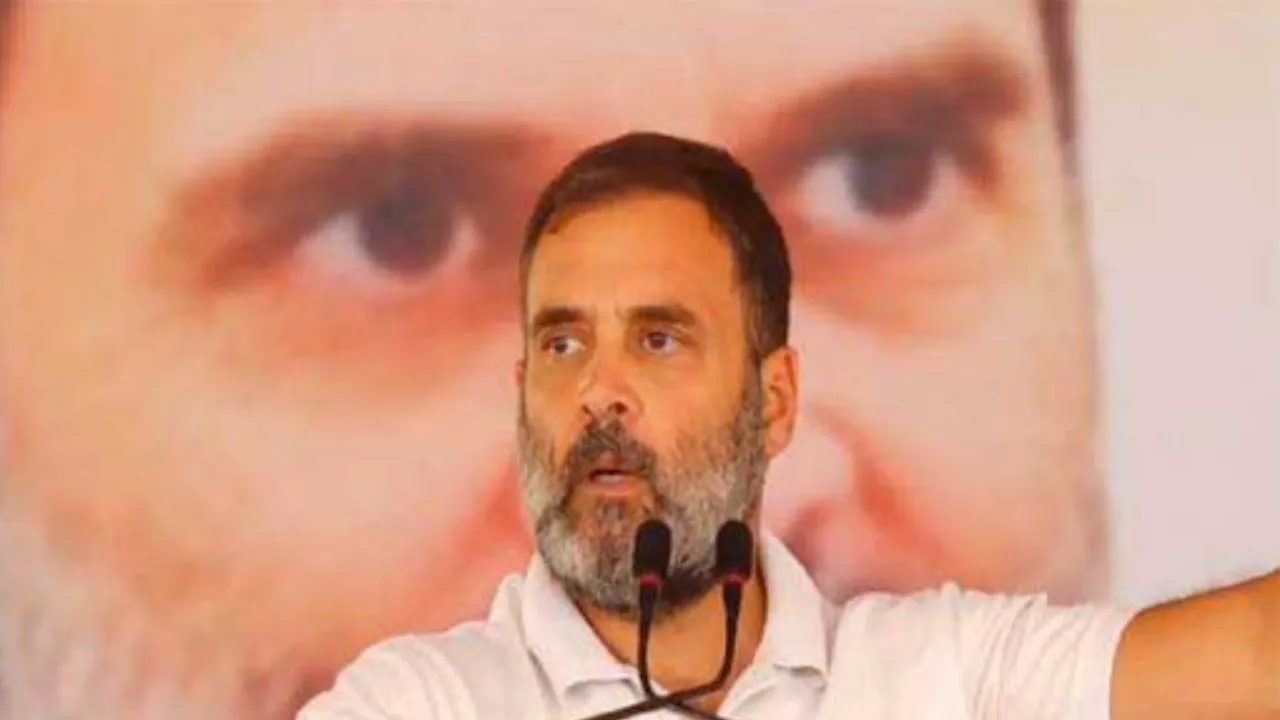 Mp Lok Sabha Chunav: संविधान की किताब दिखा कर राहुल का दावा, भाजपा इसे फाड़ कर फेंकने का देख रही सपना