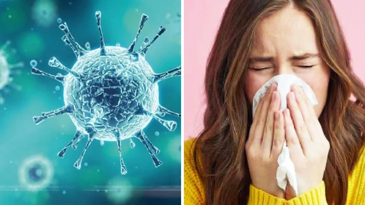 Kanpur: मौसम में हो रहे परिवर्तन से बिगड़ रही तबीयत; इंफ्लुइंजा बना और भी घातक, लोगों में हो रहा शॉक सिंड्रोम