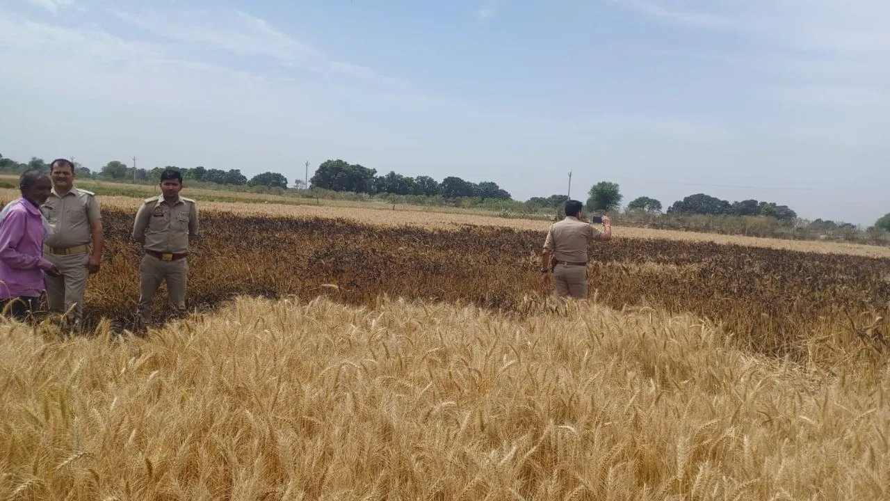 Auraiya News: बिजली के तार टूटकर गिरने से गेंहू की फसल में लगी आग...ग्रामीणाें ने कड़ी मशक्कत कर पाया काबू