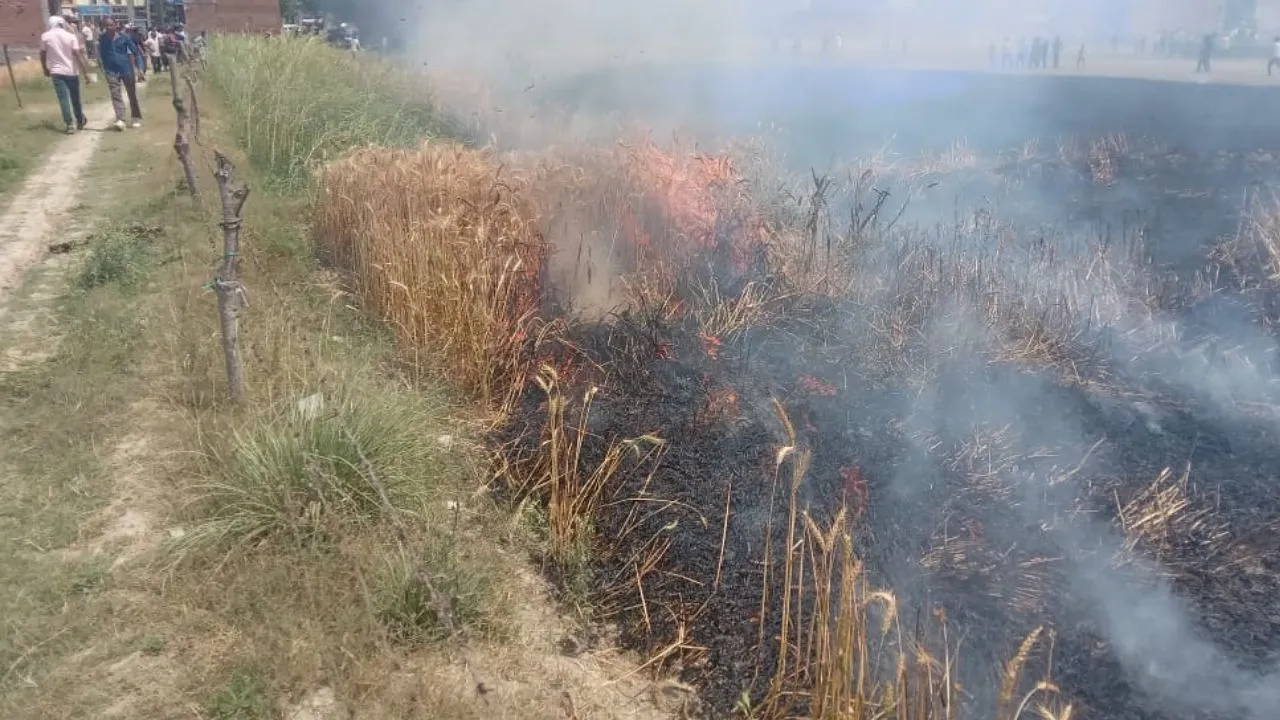 Etawah Fire: कई जगह आग लगने से लाखों का नुकसान, फसलें जलने से किसान परेशान