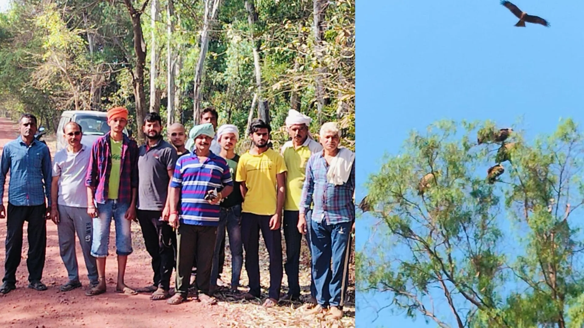 कासगंज: विलुप्त होती गिद्ध की प्रजाति को एक साथ देख ग्रामीणों में कौतूहल, उमड़ी भीड़ 