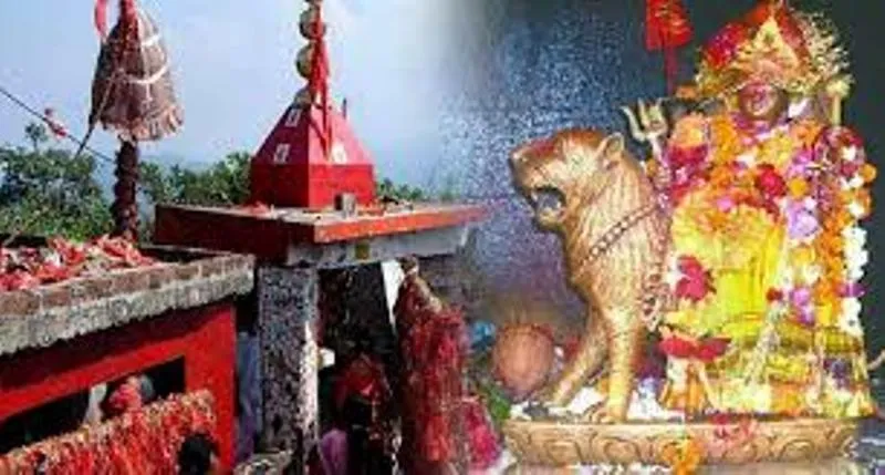 टनकपुर: पूर्णागिरि मेले में निशुल्क आवासीय सुविधा देते हैं धाम के पुजारी