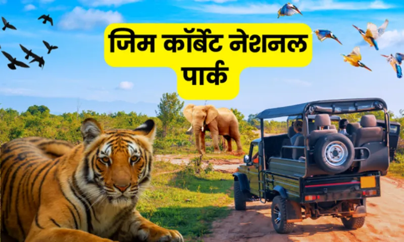 रामनगर: कॉर्बेट को मिला 23 करोड़ से अधिक का राजस्व