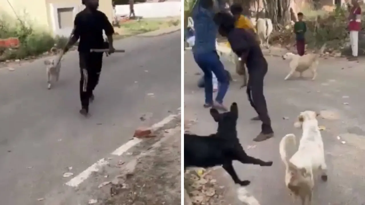 Kanpur: दबंगों ने मजदूर को हथौड़े से पीटा...घटना का Video सोशल मीडिया में वायरल, पुलिस ने आरोपी को किया गिरफ्तार