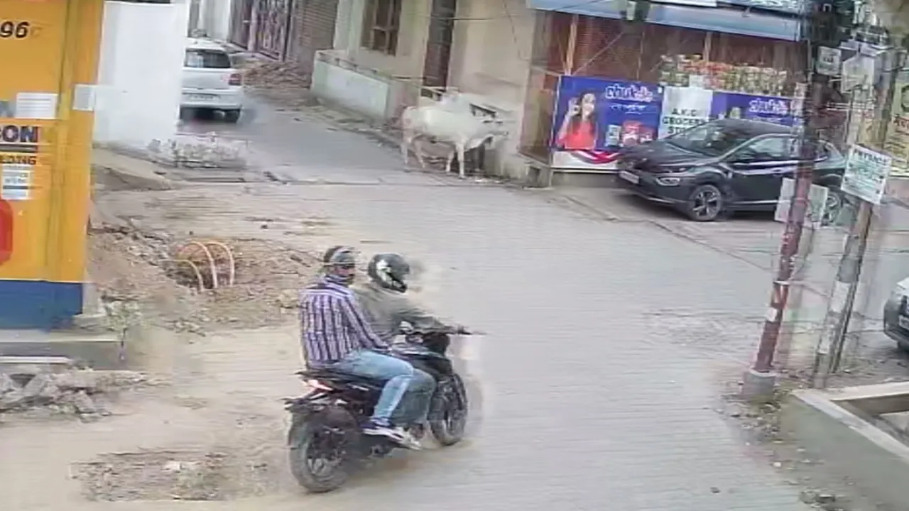 Kanpur Loot: बाइक सवार बदमाशों ने मॉर्निंग वॉक करने निकली रिटायर्ड शिक्षिका से लूटी चेन...वारदात CCTV में कैद