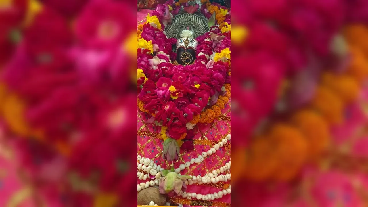 Chaitra Navratri 2024: कात्यायनी मां दानवों, असुरों और पापियों का करती नाश...मां के दर्शन को दूर-दूर से आ रहे भक्त