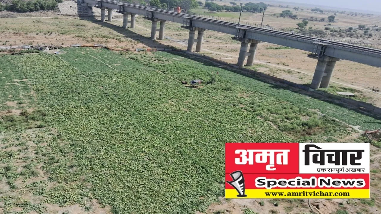 प्रयागराज: चिता की ठंडी राख पर हो रही सुकून की खेती, कछारी इलाकों में खेती कर चला रहे परिवार