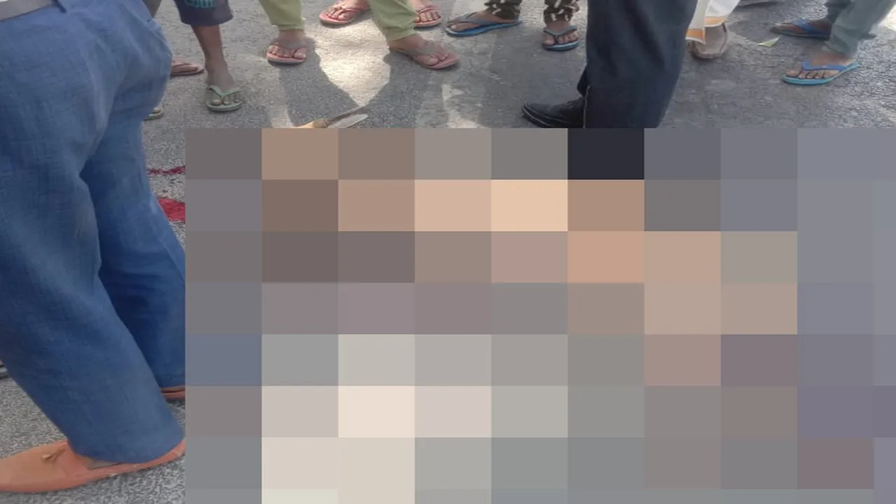 श्रावस्ती: अज्ञात वाहन के टक्कर से हिरन की मौत