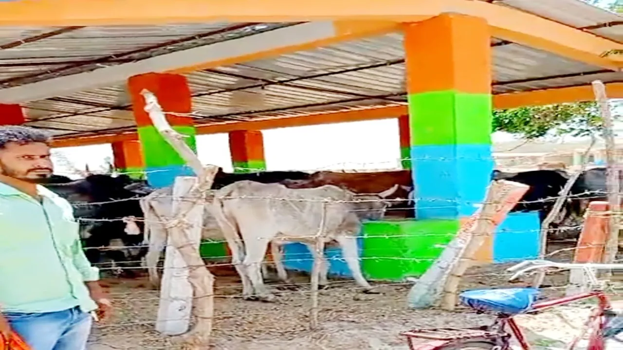 सीतापुर: गौशाला में गौवंशों की मौत की जांच पूरी, अब दोषियों पर कार्रवाई का इन्तजार 
