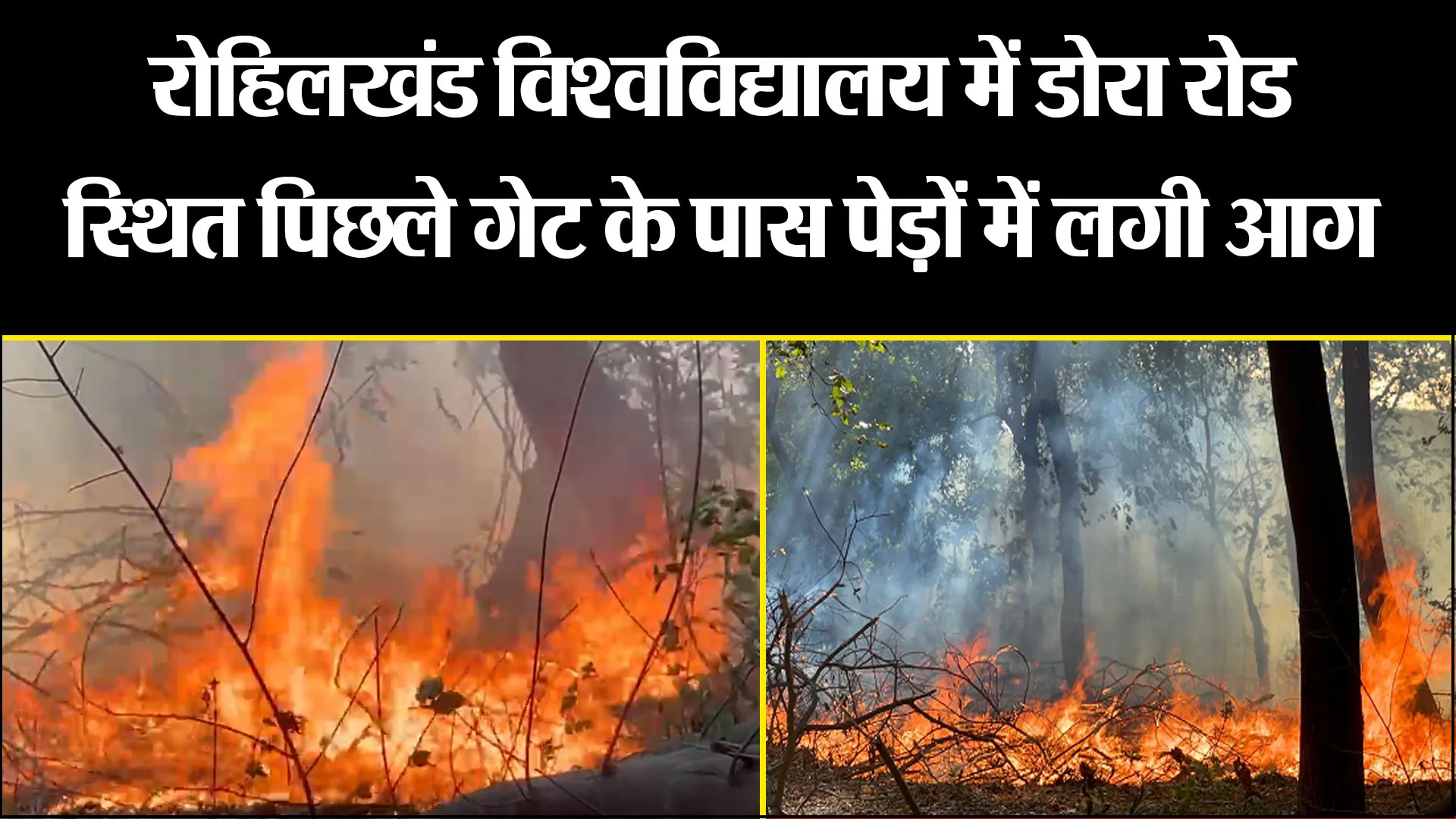 बरेली: रुहेलखंड विश्वविद्यालय में डोरा रोड स्थित पिछले गेट के पास पेड़ों में लगी आग 