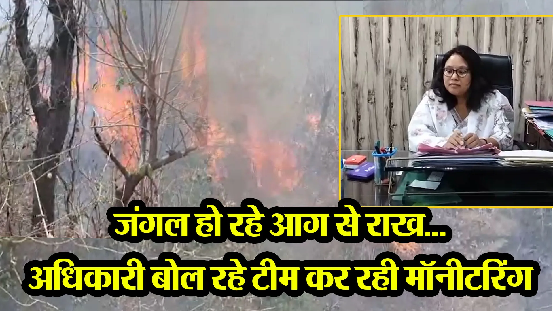 हल्द्वानी: जंगल हो रहे आग से राख... अधिकारी बोल रहे टीम कर रही मॉनीटरिंग