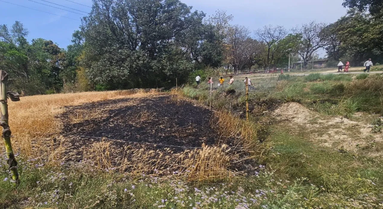 सुलतानपुर: शार्ट सर्किट से लगी आग, 10 बिस्वा गेहूं की फसल जलकर खाक