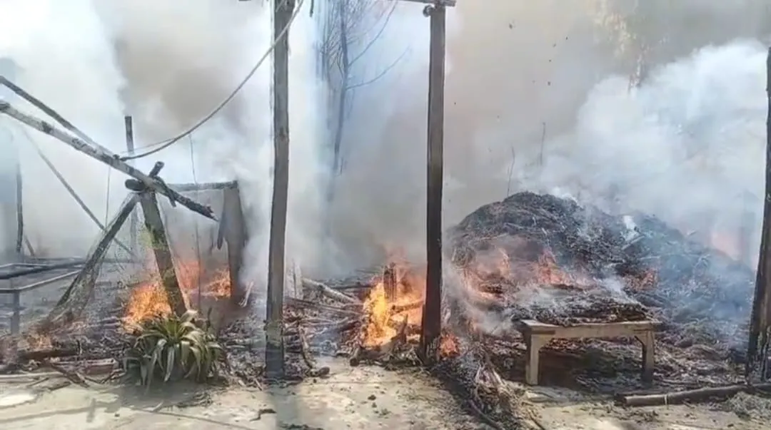 लखीमपुर-खीरी: मुर्गी फार्म में लगी भीषण आग, छह हजार चूजे जिंदा जले