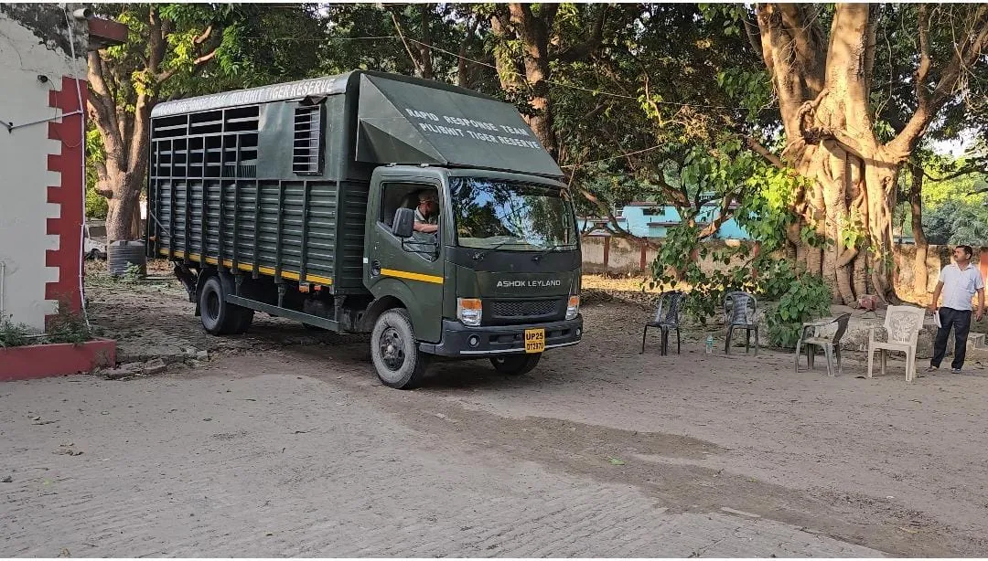 पीलीभीत: लखनऊ प्राणि उद्यान भेजा गया जख्मी बाघ, विशेषज्ञ करेंगे इलाज...महोफ रेंज से सटे इलाके से किया गया था रेस्क्यू