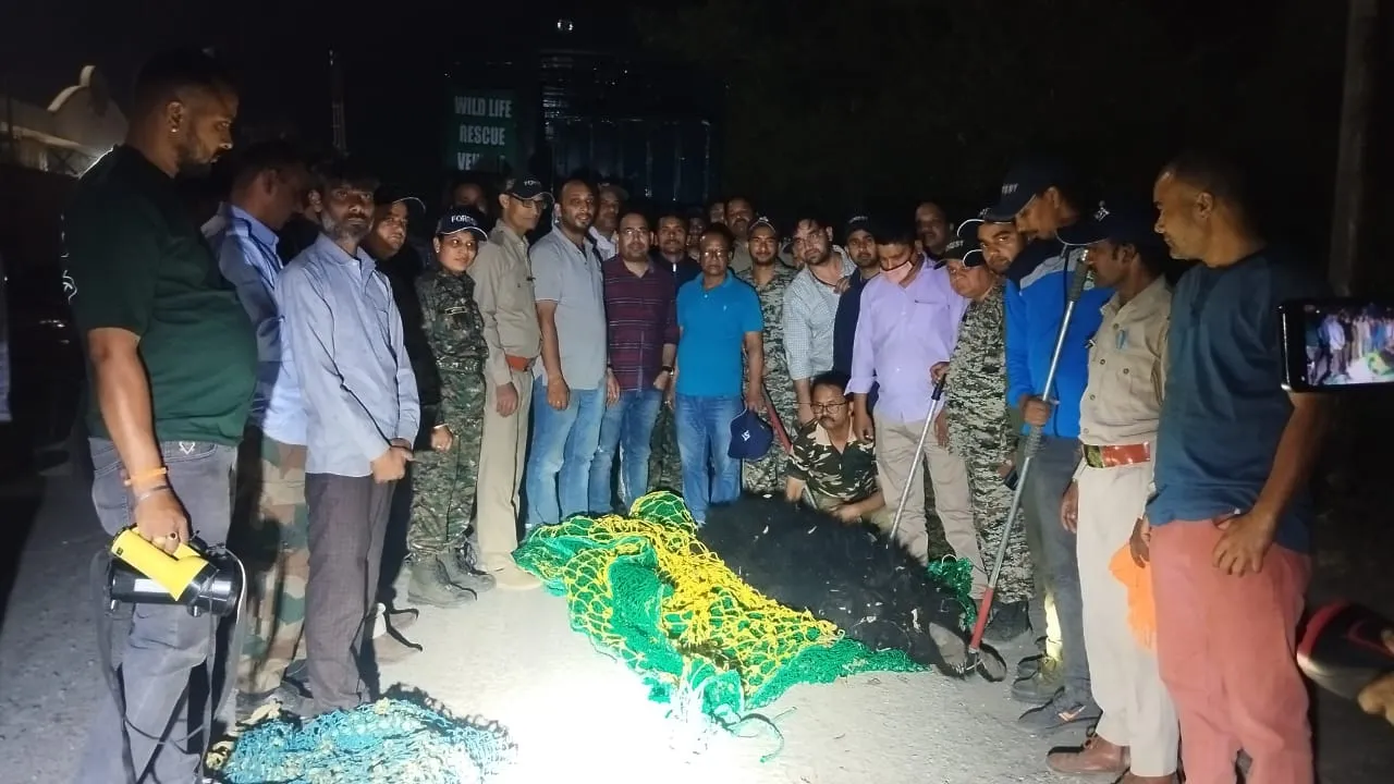 हल्द्वानी: पांच घंटे में रेस्क्यू की गई स्लीपर फैक्ट्री में घुसी मादा भालू