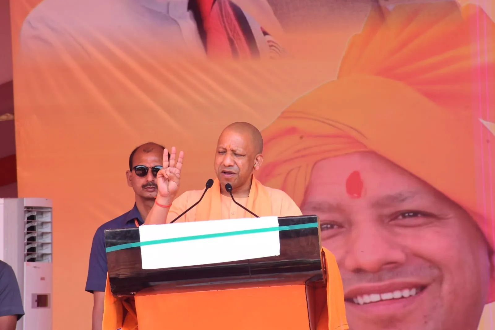 yogi