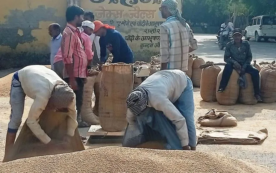 पीलीभीत:  गेहूं खरीद बढ़ाने को अब रोजाना होगी जूम मीटिंग, अगले दिन के टारगेट पर भी होगी बात...सख्त हुए जिम्मेदार  