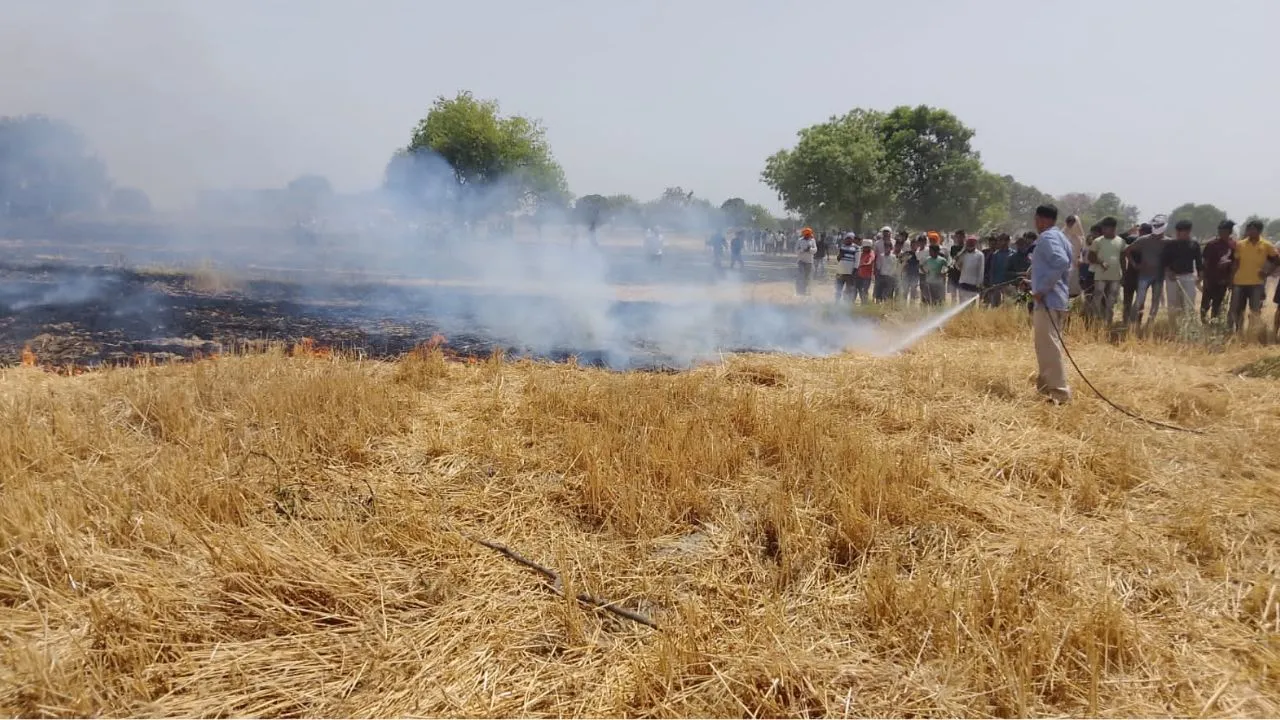 Kanpur Ghatampur Fire: शार्टसर्किट से लगी आग में गेहूं की 5 बीघा फसल जलकर खाक, दमकल ने पाया आग पर काबू
