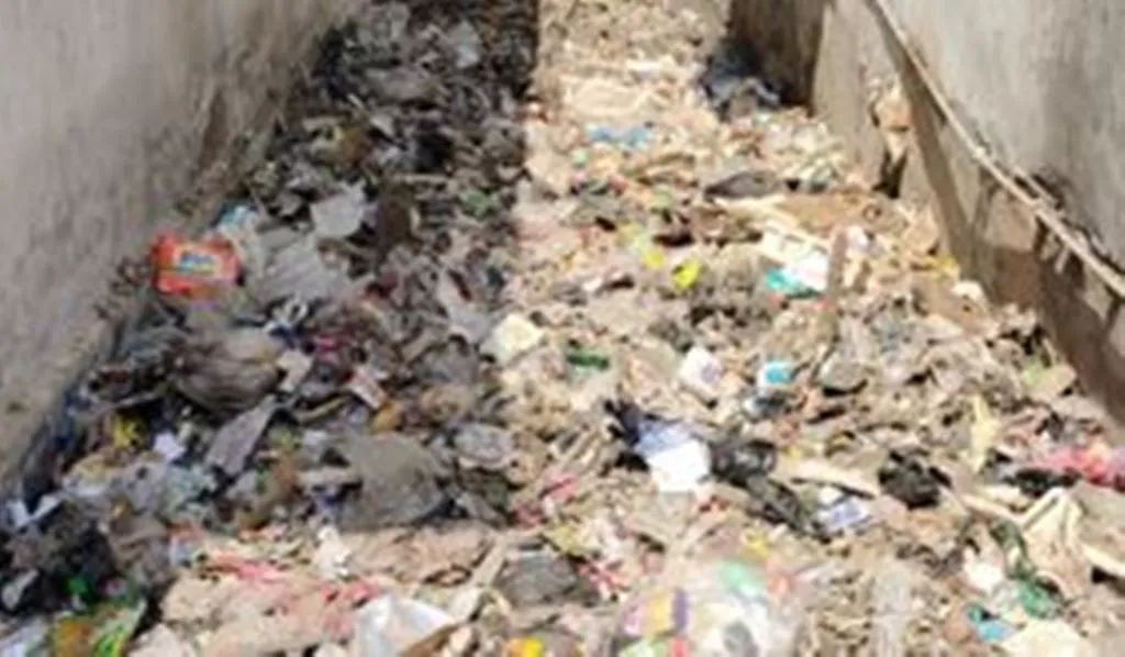 बदायूं: कूड़े और कीचड़ से बजबजा रहे नाले, मच्छरों ने बढ़ाई परेशानी