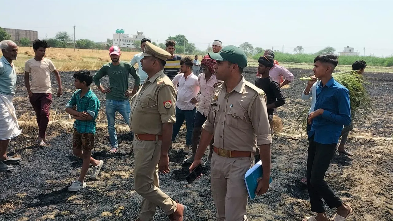 गेंहूं औरैया खत्म