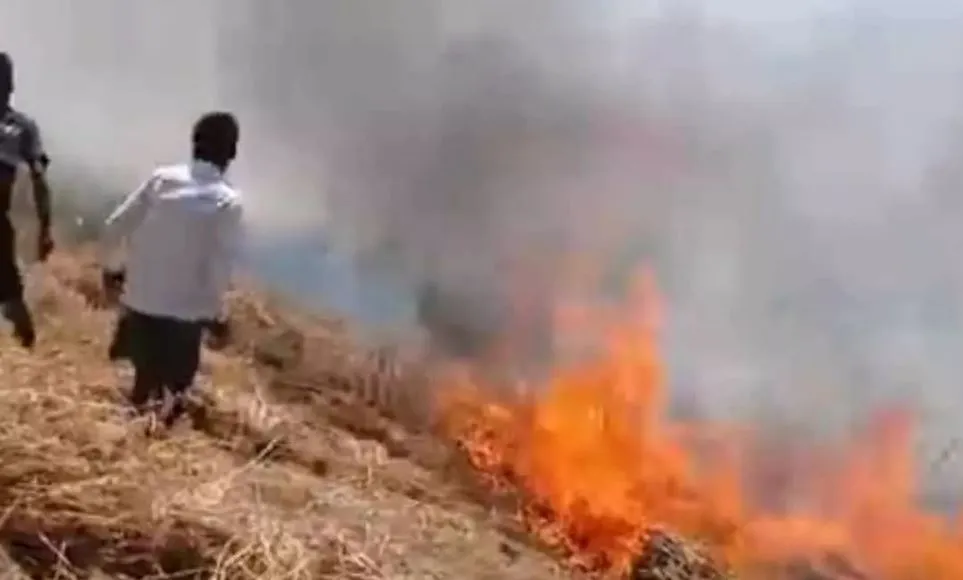 Bareilly News: गेहूं की फसल पर गिरा हाईटेंशन लाइन का तार, दस बीघा फसल राख