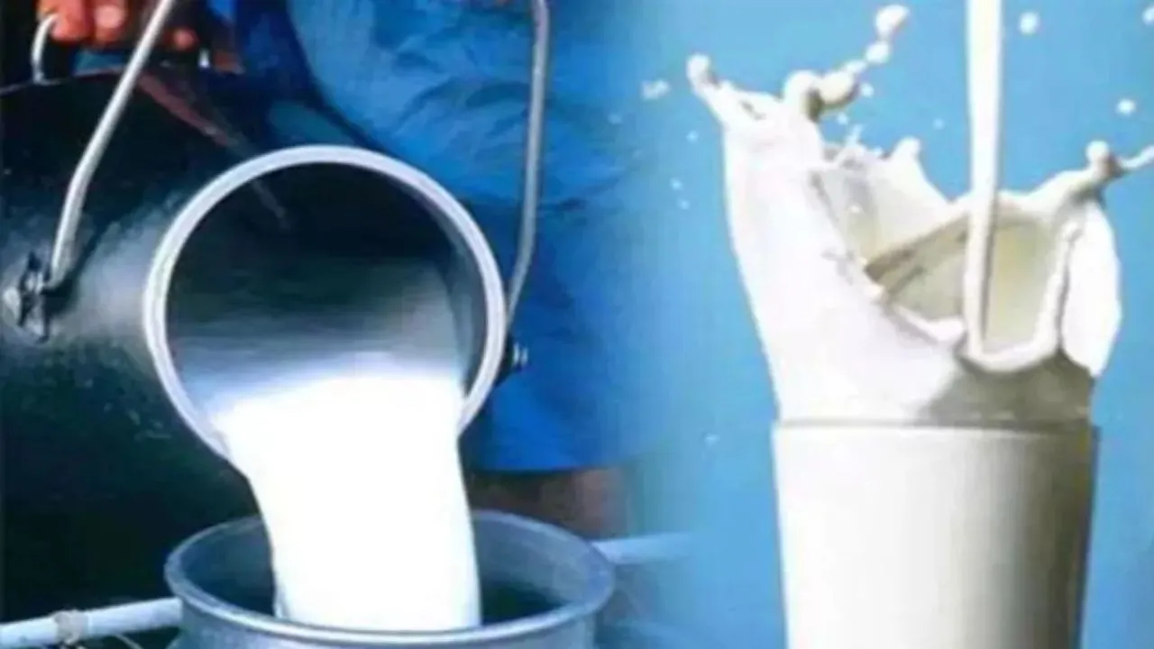 UP में डेयरी लगाने को तमाम सुविधाएं देगी राज्य सरकार, 5 करोड़ तक मिल सकता है अनुदान