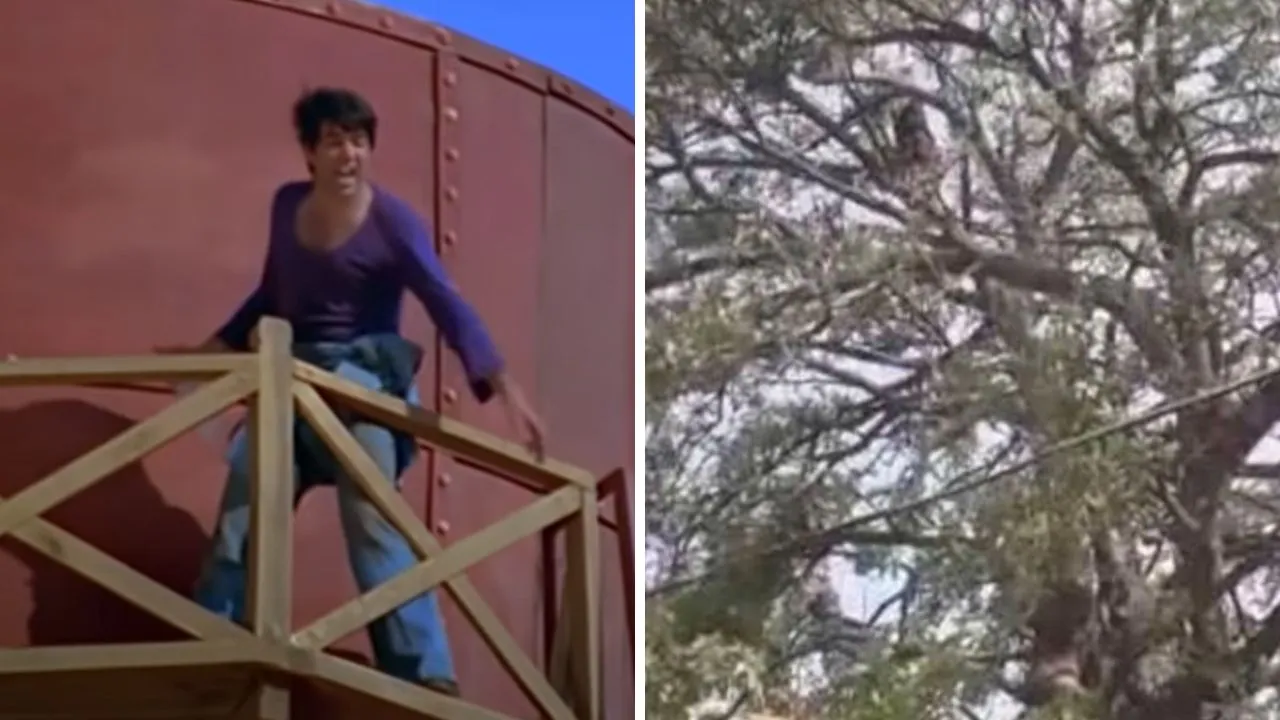 Farrukhabad: शोले फिल्म के बीरू की तरह जीजा के घर आई युवती पेड़ पर चढ़ी; पुलिस ने समझा-बुझाकर नीचे उतारा