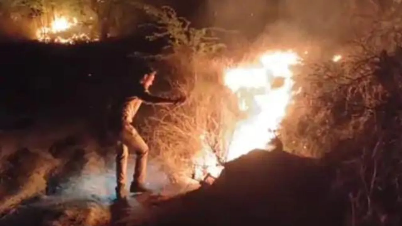 Fatehpur Fire: चूल्हे की चिंगारी से भड़की आग, एक ही परिवार के आधा दर्जन घर बने राख का ढेर 