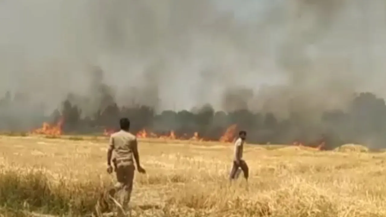 फतेहपुर 2 (1)