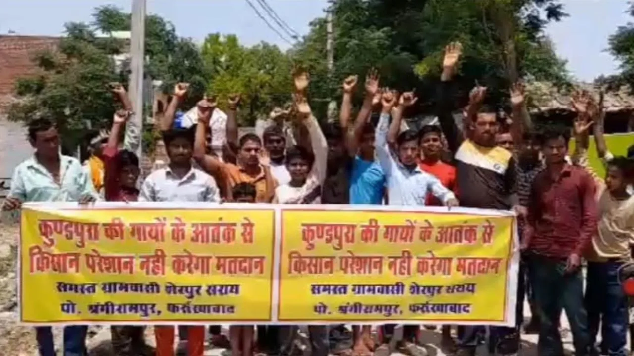 Farrukhabad: पालतू गायों से परेशान किसानों ने की मतदान के बहिष्कार की घोषणा; पोस्टर लगाकर की जमकर नारेबाजी