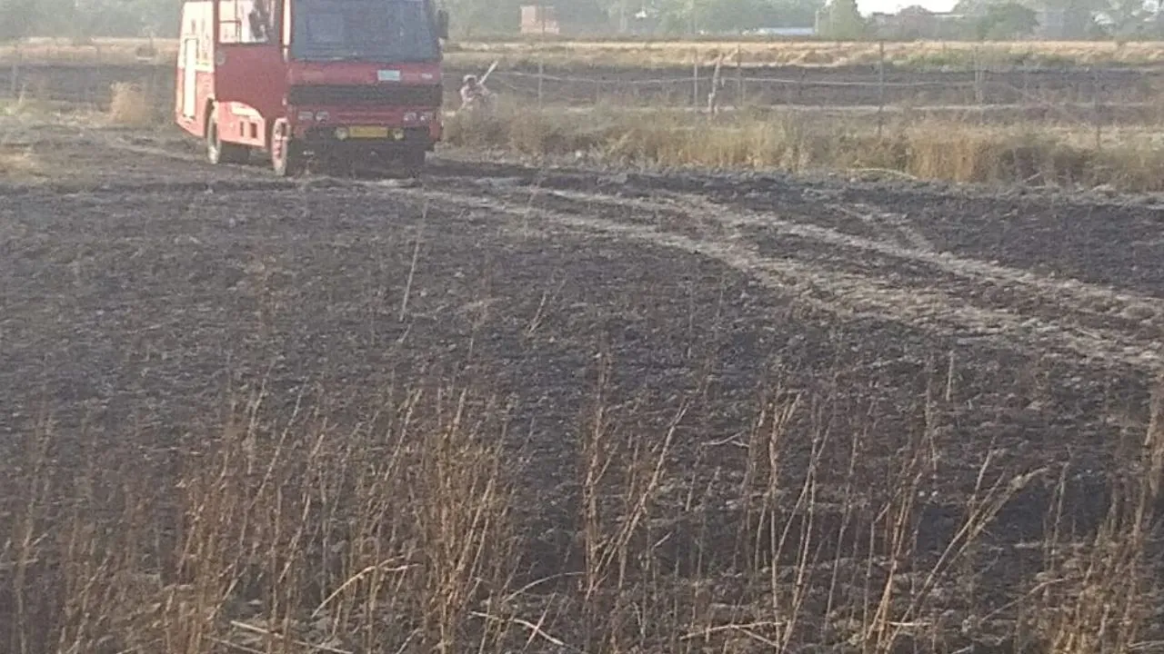 Ghatampur Fire: जंगलों में तीन दिन से सुलग रही आग से किसानों में दहशत; गेहूं की इतने बीघा फसल जलकर खाक...