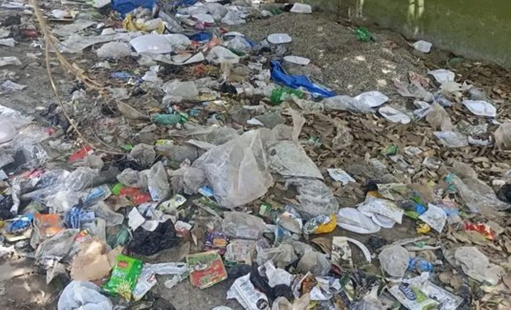 बदायूं: गंदगी के ढेर और कीचड़ भरी नालियां बनी वार्ड 28 की पहचान, पिछले तीन माह से मोहल्ले में नहीं हुई सफाई 