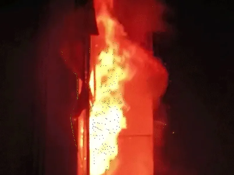 ब्राजील के होटल में आग लगने से 10 लोगों की मौत,  11 अन्य घायल 