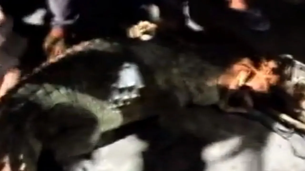 Kanpur News: विशालकाय मगरमच्छ निकला...देखने के लिए लोगों की जुटी भीड़, पब्लिक ने रस्सी से बांध कर गंगा में छोड़ा